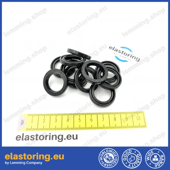 Oil seal WDR-A 17x25x4 NBR Oil seal WDR-A 17x25x4 NBR