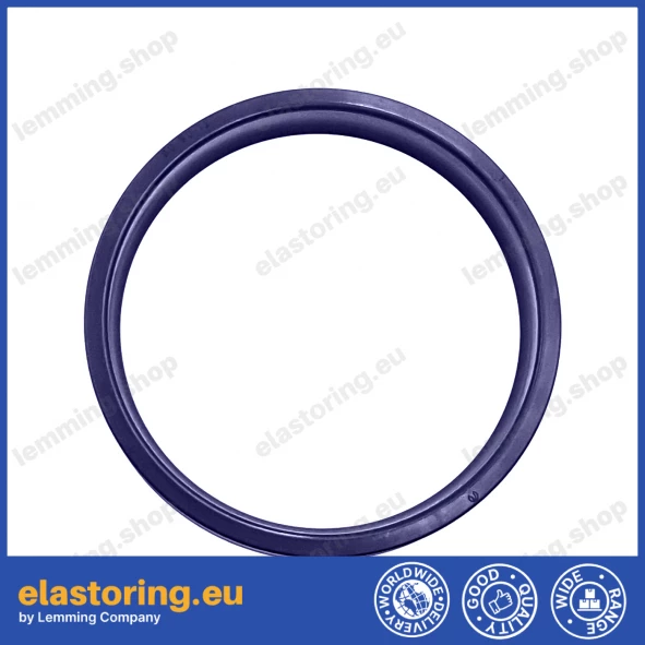 Rod seal RSA 32x42x7,2 C0 [2ERSA221]