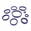 Rod seal RSA 32x42x7,2 C0 [2ERSA221]