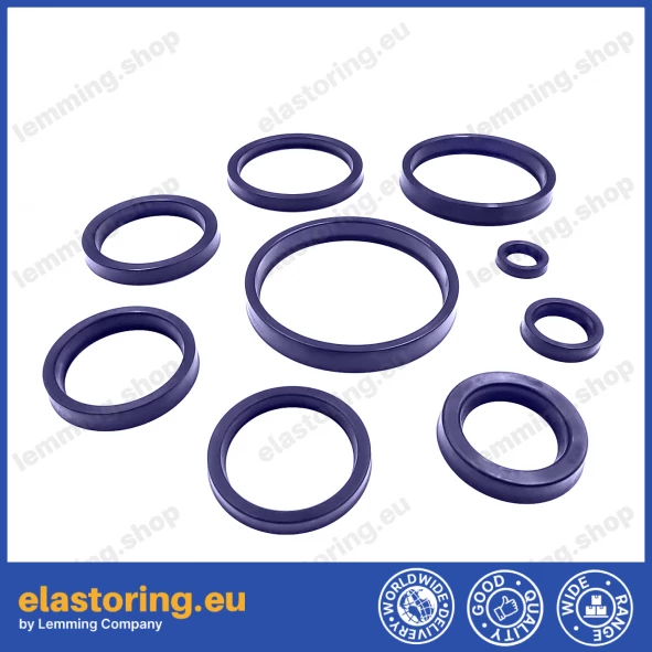 Rod seal RSA 32x42x7,2 C0 [2ERSA221]