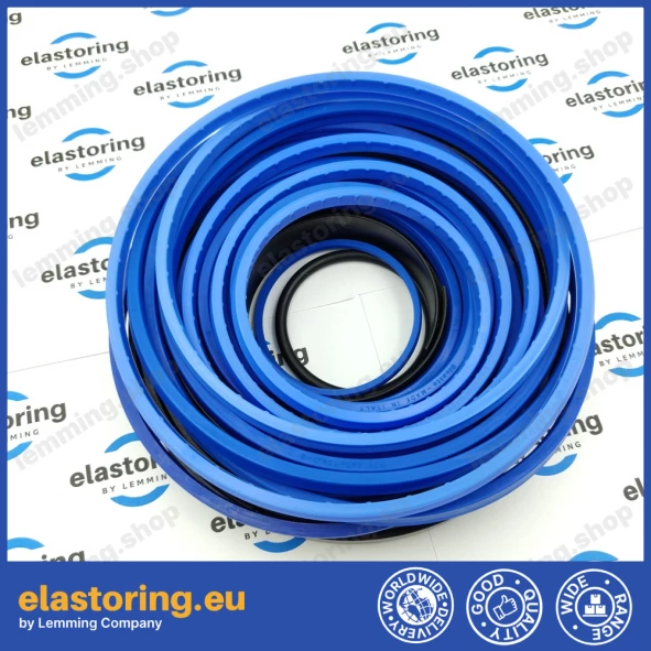 Seal kit MF/MFC 165/5 Binotto KCR#05PB1 Seal kit MF/MFC 165/5 Binotto KCR#05PB1