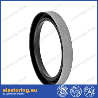 Wiper WPB 60x75x5 NBR