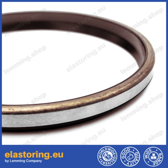 Wiper WPM 38x53x5/8 FPM+Stal