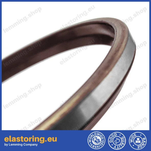 Wiper WPM 38x53x5/8 FPM+Stal