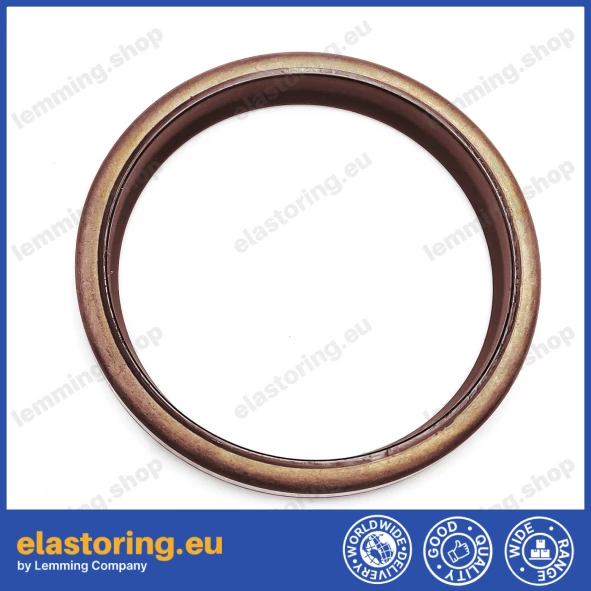 Wiper WPM 38x53x5/8 FPM+Stal