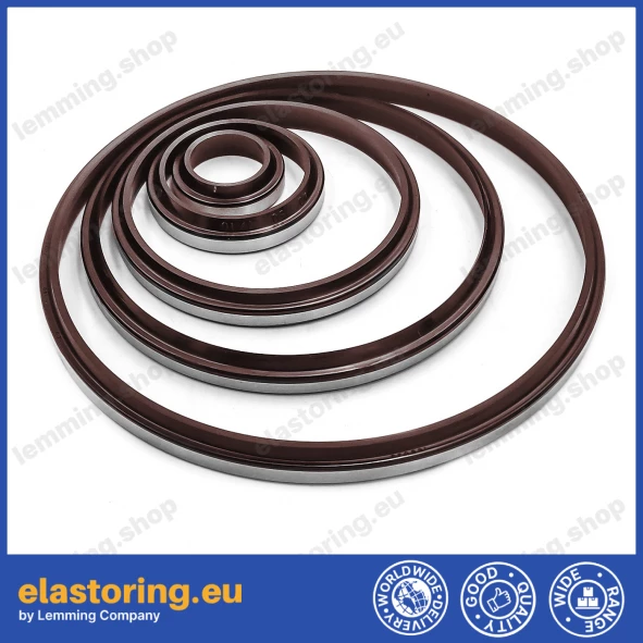 Wiper WPM 38x53x5/8 FPM+Stal