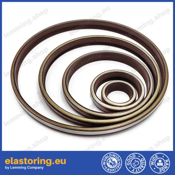 Wiper WPM 38x53x5/8 FPM+Stal