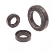 Pressure Oil Seal WDR-ASY 35x52x6 FPM Pressure Oil Seal WDR-ASY 35x52x6 FPM