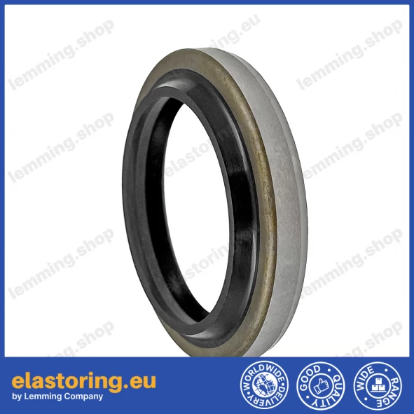 Wiper DKB 32x52x8/11 NBR+Stal