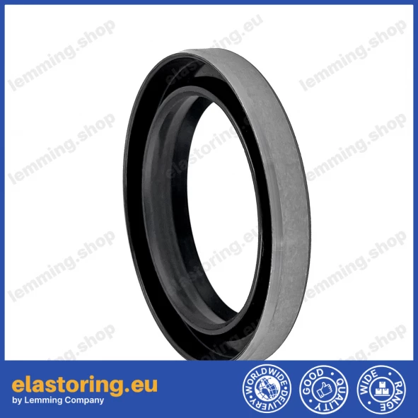 Wiper DKB 32x52x8/11 NBR+Stal