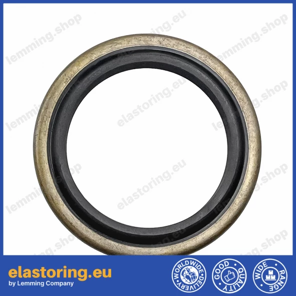 Wiper DKB 32x52x8/11 NBR+Stal