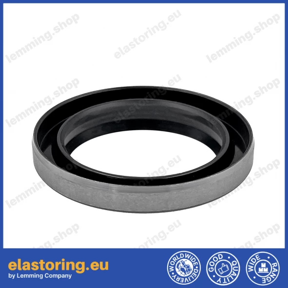 Wiper DKB 32x52x8/11 NBR+Stal