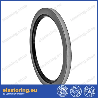 Wiper VAY 55x65x4 NBR