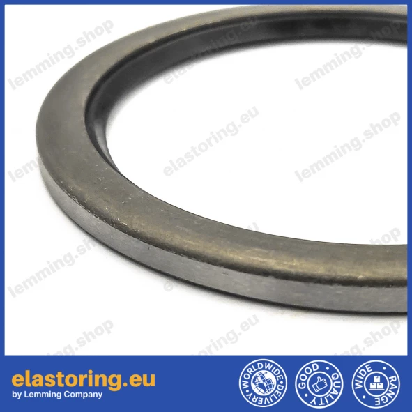 Wiper VAY 30x40x4 NBR Wiper VAY 30x40x4 NBR