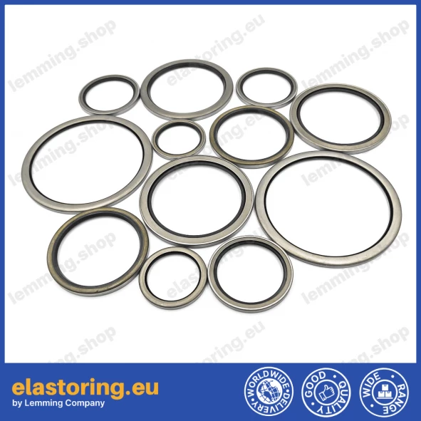 Wiper VAY 30x40x4 NBR Wiper VAY 30x40x4 NBR