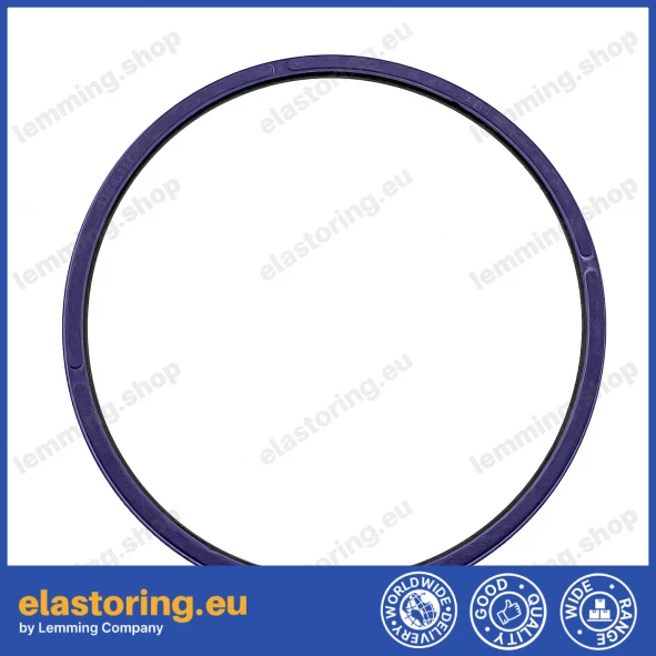 Piston seal PSI 127x117,48x7,14 CN [2EPSI193]