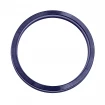Rod seal RPO 100x115x12 [2ERPO090]