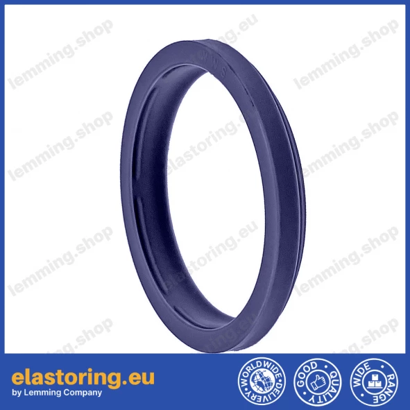 Wiper WWS 10x16x2,6 C0 [2EWWS010]