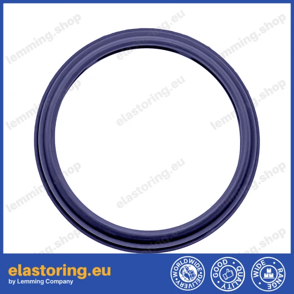 Wiper WWS 10x16x2,6 C0 [2EWWS010]