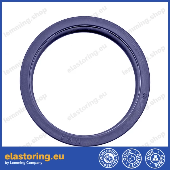 Wiper WWS 10x16x2,6 C0 [2EWWS010]