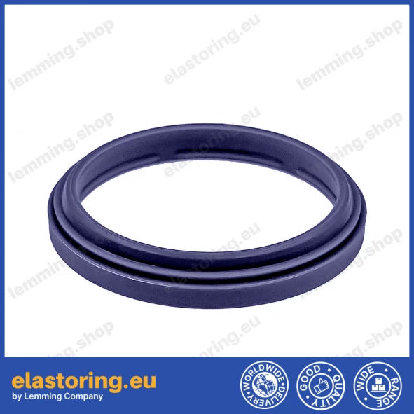 Wiper WWS 10x16x2,6 C0 [2EWWS010]