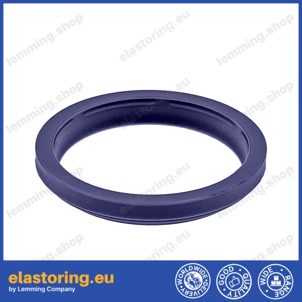 Wiper WWS 10x16x2,6 C0 [2EWWS010]