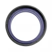 Piston seal PSH 0400 0250 095 CR [2EPSH006]
