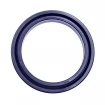 Piston seal PSH 0400 0250 095 CR [2EPSH006]