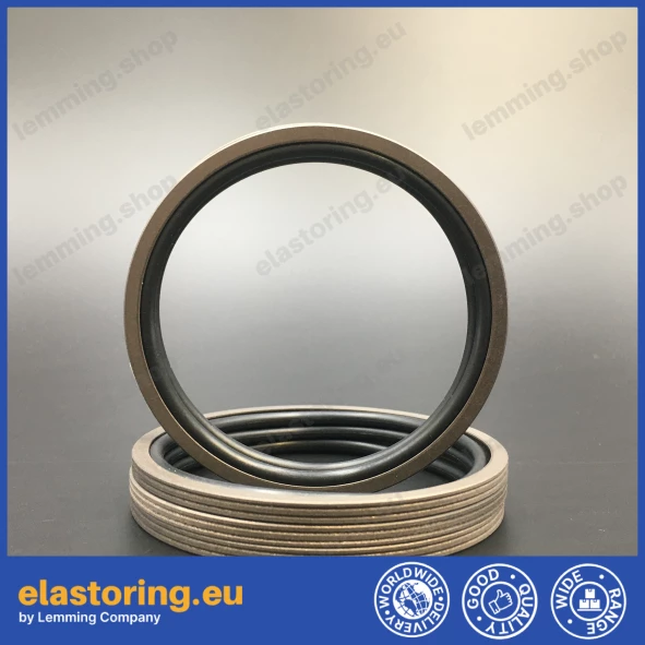 Rotation seal K752 100x89x4,2