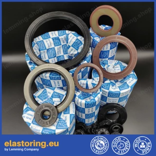 Oil seal 15x30x7 DC NBR