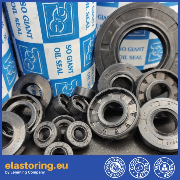 Pressure oil seal 24x40x7/7,5 BABSL FPM