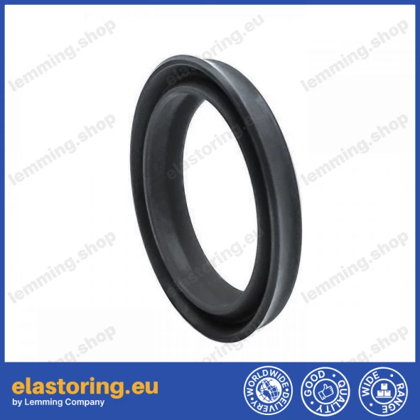 Wiper 30x40x5/6,5 A208 NBR Wiper 30x40x5/6,5 A208 NBR