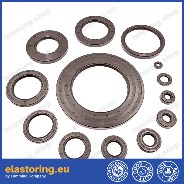 Oil seal 20x40x7 AS FPM Oil seal 20x40x7 AS FPM