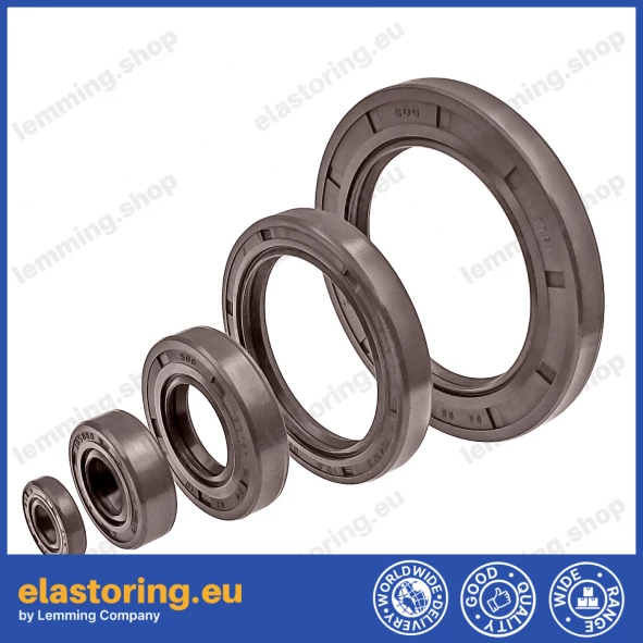 Oil seal 20x40x7 AS FPM Oil seal 20x40x7 AS FPM
