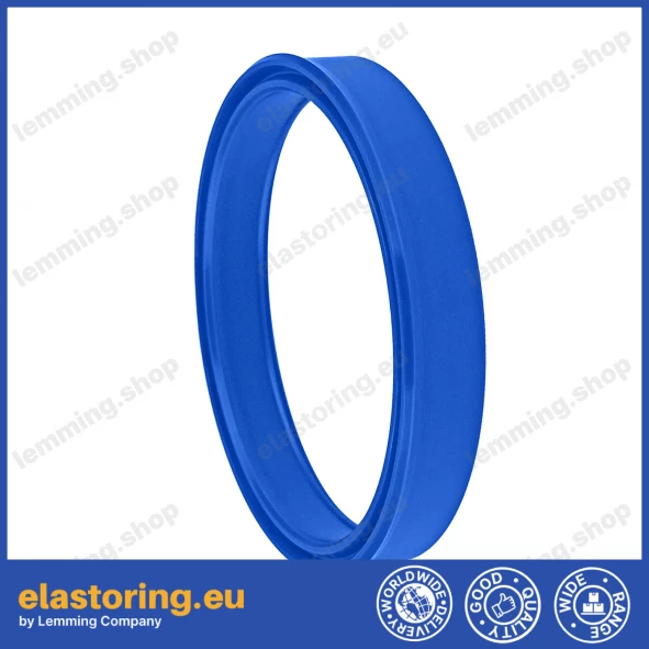 Rod seal 55x65x8 TTI/L