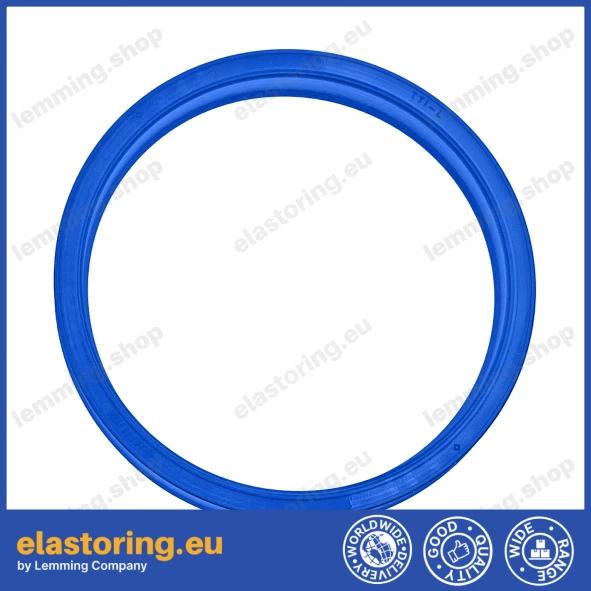 Rod seal 55x65x8 TTI/L