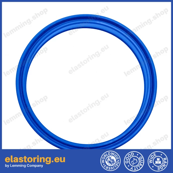 Rod seal 55x65x8 TTI/L