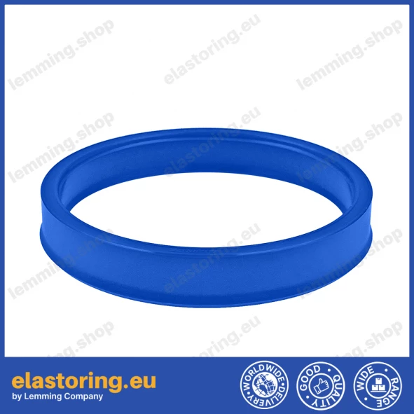 Rod seal 55x65x8 TTI/L