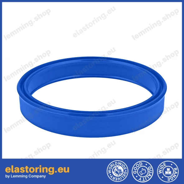 Rod seal 55x65x8 TTI/L