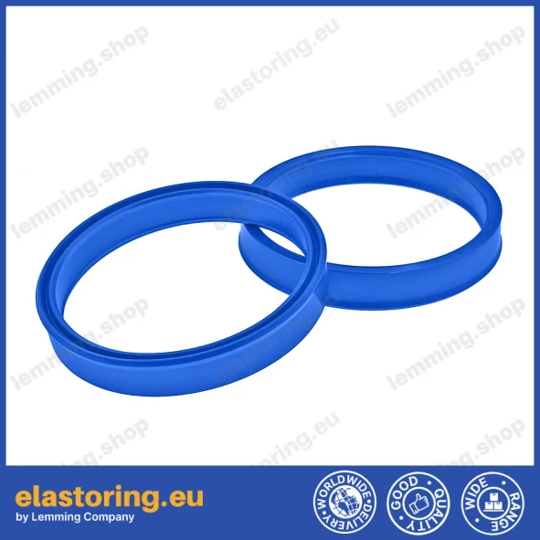 Rod seal 55x65x8 TTI/L