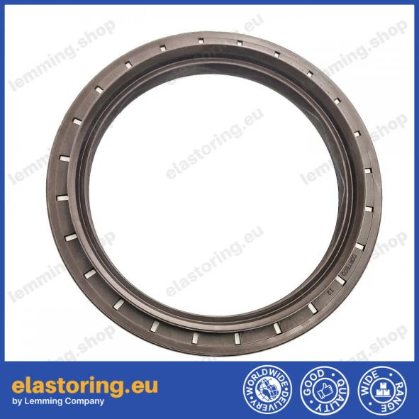 Wheel hub oil seal 110x140x12 RWDR-KOMBI FPM