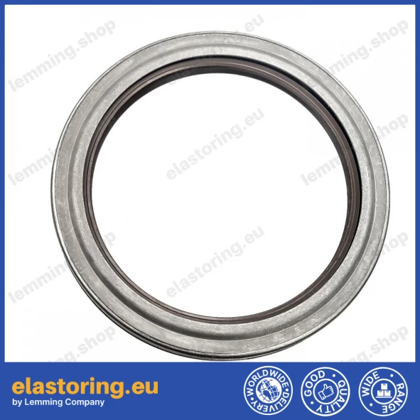 Wheel hub oil seal 110x140x12 RWDR-KOMBI FPM