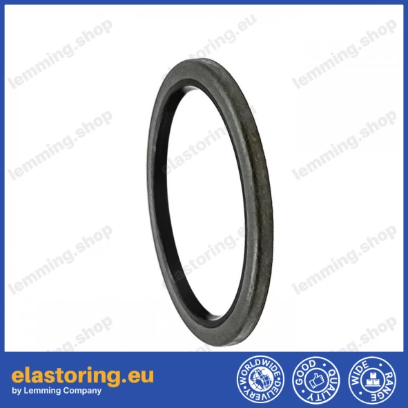 Dust seal 28,57x35x2,2 VB NBR Dust seal 28,57x35x2,2 VB NBR