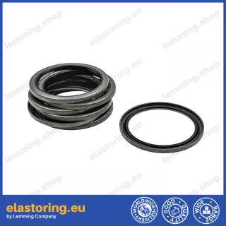 Dust seal 28,57x35x2,2 VB NBR