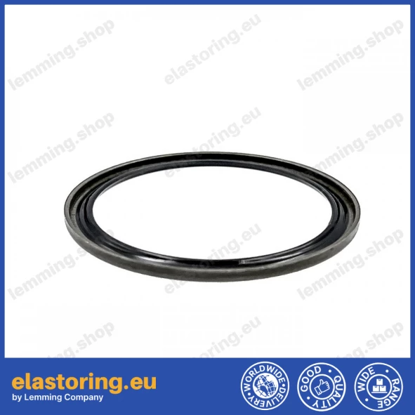 Dust seal 35x42x2 VB NBR Dust seal 35x42x2 VB NBR