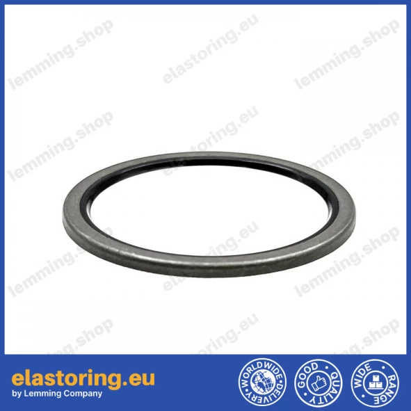 Dust seal 35x42x2 VB NBR Dust seal 35x42x2 VB NBR