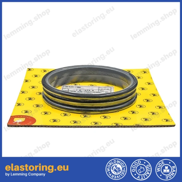 Face seal Goetze 76.97H-17 NB60
