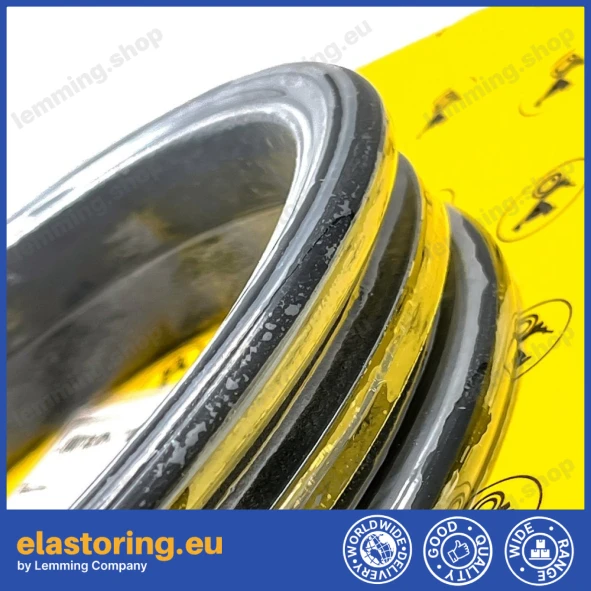 Face seal Goetze 76.97H-17 NB60