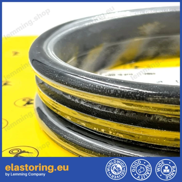 Face seal Goetze 76.97H-17 NB60