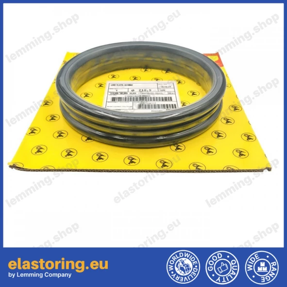 Face seal Goetze 76.97H-22 NB60 Face seal Goetze 76.97H-22 NB60